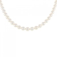 シルバークラスプ アコヤパール ネックレス 5.5-6mm