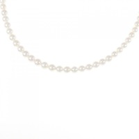 シルバークラスプ アコヤパール ネックレス 4-4.5mm