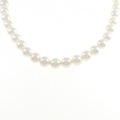 シルバークラスプ アコヤパール ネックレス 7.5-8.0mm