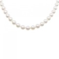 シルバークラスプ アコヤパール ネックレス 8-8.5mm