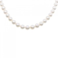 シルバークラスプ アコヤパール ネックレス 8-8.5mm