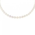 シルバークラスプ アコヤパール ネックレス 5-5.5mm