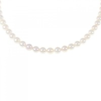 シルバークラスプ アコヤパール ネックレス 5-5.5mm