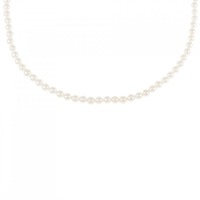 シルバークラスプ アコヤパール ネックレス 3-3.5mm
