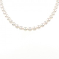 シルバークラスプ アコヤパール ネックレス 6.0-6.5mm
