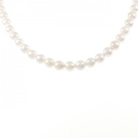 シルバークラスプ アコヤパール ネックレス 6.5-7.0mm