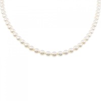 シルバークラスプ アコヤパール ネックレス 6.5-7mm