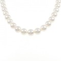 シルバークラスプ アコヤパール ネックレス 8.5-9.5mm