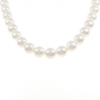 シルバークラスプ アコヤパール ネックレス 8.5-9.5mm
