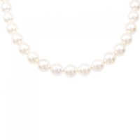 【新品】シルバークラスプ アコヤパール ネックレス 7.5-8mm