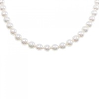 シルバークラスプ アコヤパール ネックレス 6.5-7mm