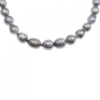 シルバークラスプ 黒蝶パール ネックレス 8-11mm