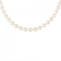 シルバークラスプ アコヤパール ネックレス 6-6.5mm