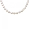 シルバークラスプ アコヤパール ネックレス 7.5-8mm