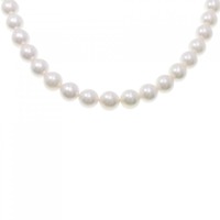 シルバークラスプ アコヤパール ネックレス 7.5-8mm