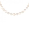 シルバークラスプ アコヤパール ネックレス 6-6.5mm