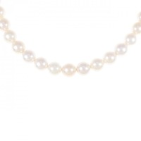 シルバークラスプ アコヤパール ネックレス 6-6.5mm