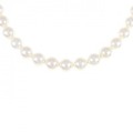 シルバークラスプ アコヤパール ネックレス 7-7.5mm