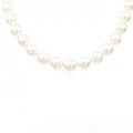 シルバークラスプ アコヤパール ネックレス 8-8.5mm
