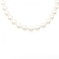シルバークラスプ アコヤパール ネックレス 8-8.5mm