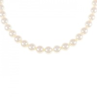 シルバークラスプ アコヤパール ネックレス 6-6.5mm