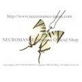 【ネクロマンス NECROMANCE】リアルバタフライウィングネックレス Real Butterfly Wing Necklace ＜アゲテスタイマイ＞ 蝶々 羽