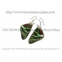 【ネクロマンス NECROMANCE】リアルバタフライウィングピアス Real Butterfly Wing Pierce ＜ニシキオオツバメ 前翅＞ 蝶々 羽