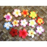◆ハワイより入荷しました◆フラダンス・ウエディングに◆　プルメリア髪飾り　クリップ 13色
