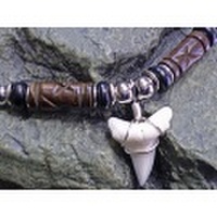 ギフトにもおすすめ！アオザメ歯チョーカー【TCA-1Q-001】