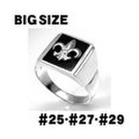 シルバーリング/rt002