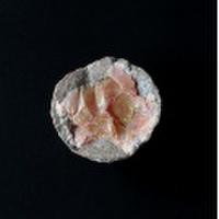 ツーソン2018！激安!貴重なノジュールオパールの原石 1 /10月 【天然石・パワーストーン】