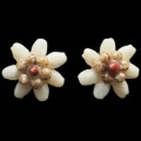 ニイハウシェル 本格ニイハウシェルピアス