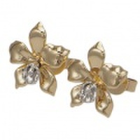 ハワイアンジュエリー / オーキッドピアス