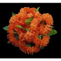 ハワイアンヘアクリップ ゴージャスイリマヘアクリップ Lサイズ