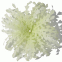 ブランド-Jane Tranヘアアクセサリー◆パステルフェザー＆パールピン◆ライム