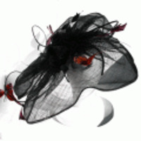 ブランド-Scala Collezione【ウェディング】【パーティ】ヘアアクセサリー◆バタフライ＆フラワーラフィアヘッドドレス◆ブラック