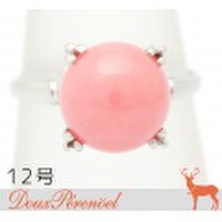 ロードナイト リング 12号 K14WG R:10.1mm 指輪 【14金ホワイトゴールド】【レディース】【女性用】