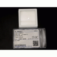 新着【ダイヤモンドルース】ダイヤモンド0.330ｃｔ E VVS-2 VERY GOOD NONE 20790-0