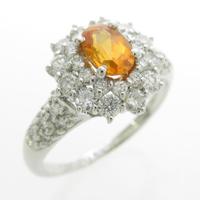 PT ガーネットリング10％引き