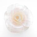 アレクサンドルドゥパリ ALEXANDRE DE PARIS HAIR ACCESSORIES