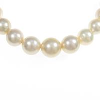 K18YG／K18WG シロチョウパールネックレス