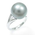 PT クロチョウパールリング