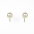 PT アコヤパールイヤリング