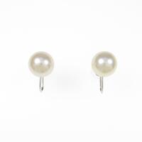 PT アコヤパールイヤリング