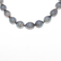 シルバークラスプ シロチョウパールネックレス