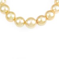 シルバークラスプ シロチョウパールネックレス