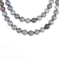 シルバークラスプ クロチョウパールネックレス