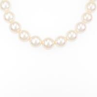 シルバークラスプ アコヤパールネックレス