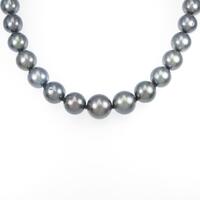 シルバークラスプ クロチョウパールネックレス