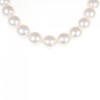 シルバークラスプ アコヤパール ネックレス 7?7.5mm